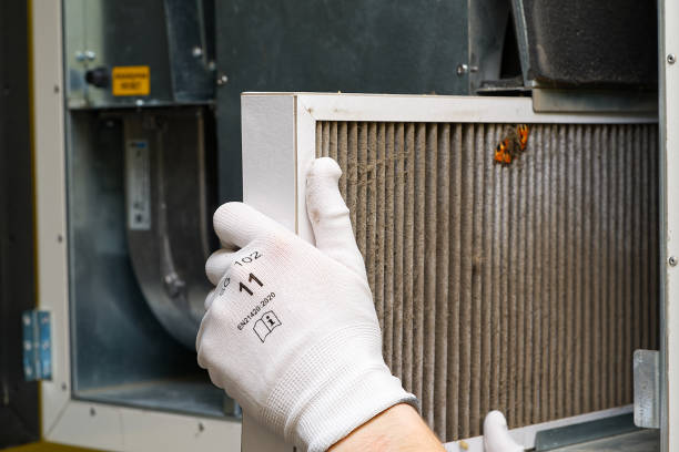 Best Home Air Vent Cleaning  in Jacksonville, FL